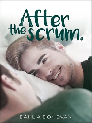 cover image of After the Scrum